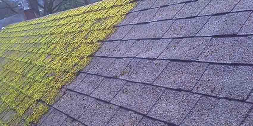 Roof Cleaning Services