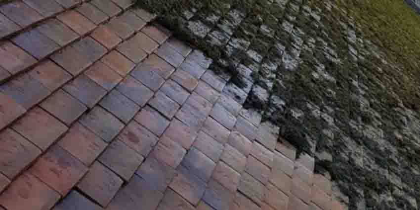 Roof Moss Removal Services - RoofClean.co